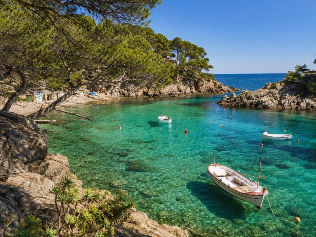 Cala